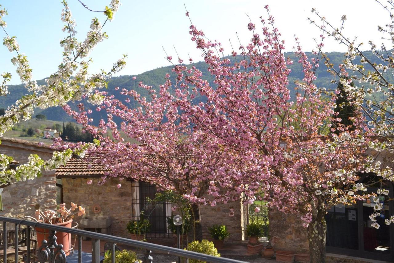 Podere Vignola Pontassieve Exterior photo